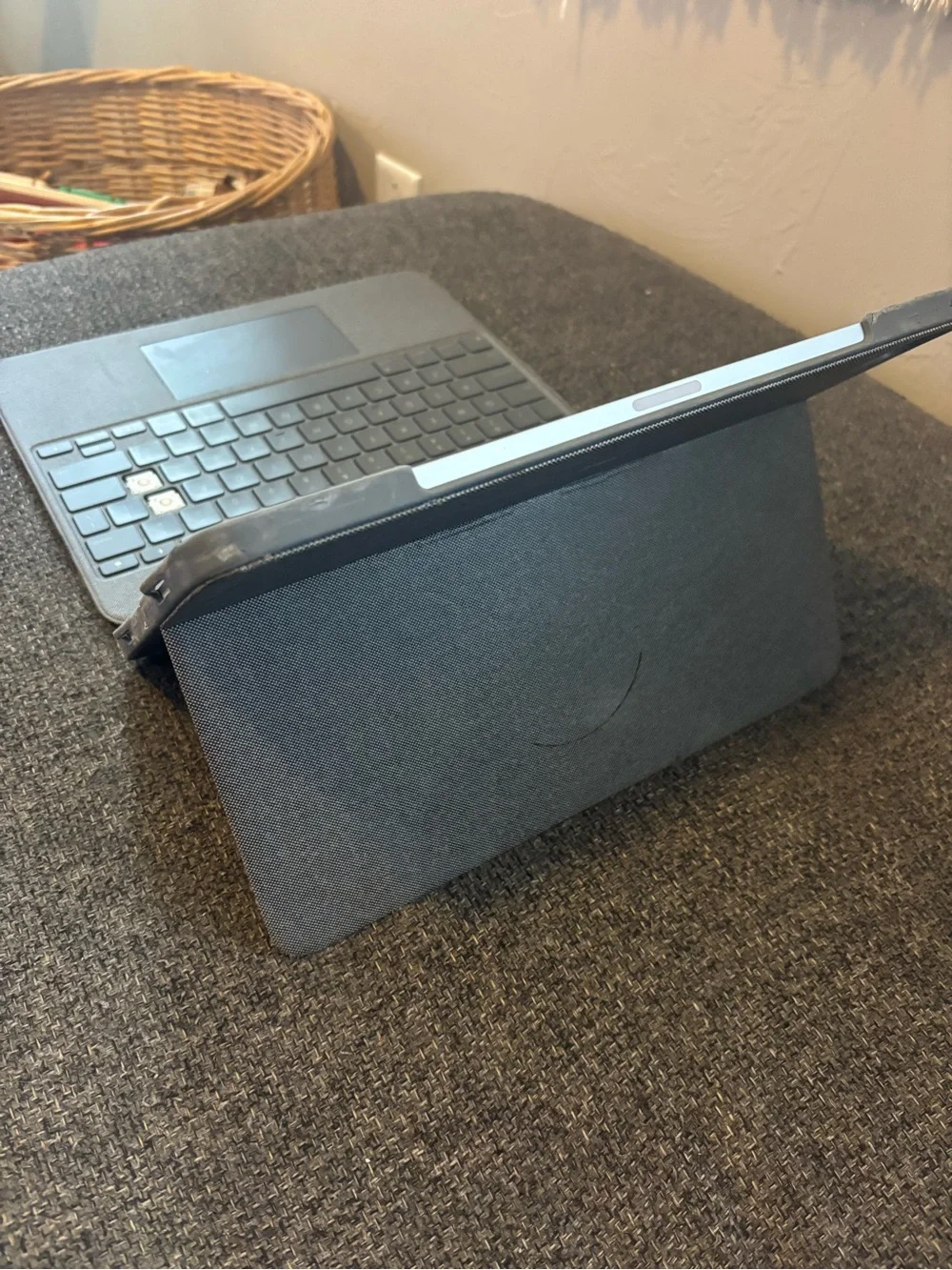 Apple Silver iPad Pro - Space Gray Apple Logo